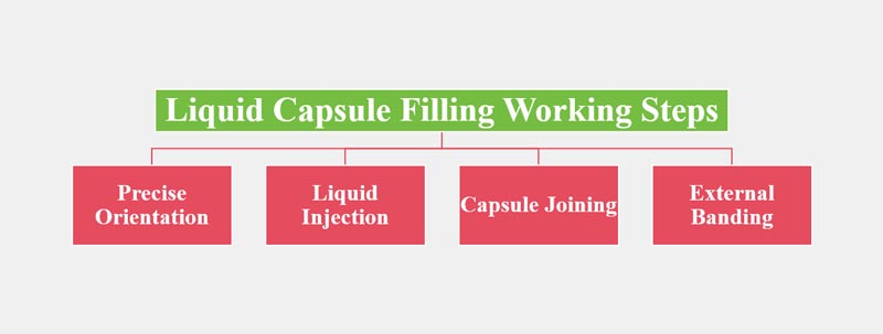 Working Steps of Liquid Capsule Filling Machine