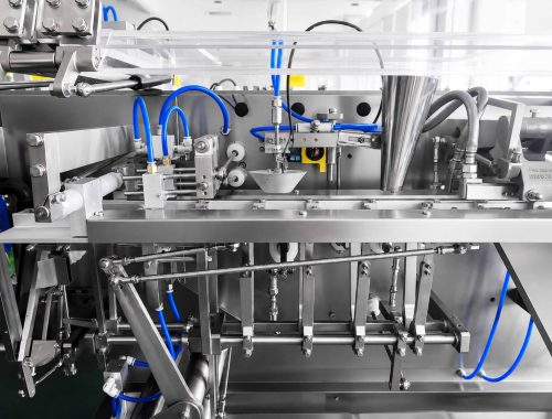 Inline Film Roll Stock to Standing Doypack Evolution